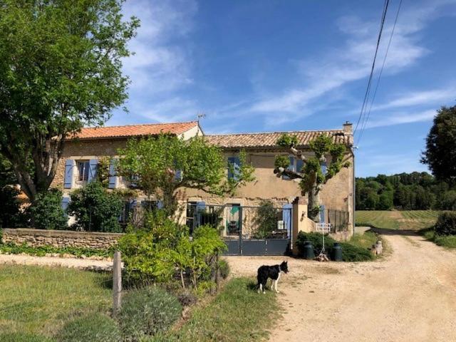 Mas De Costebelle Bed & Breakfast Bollene Exterior photo
